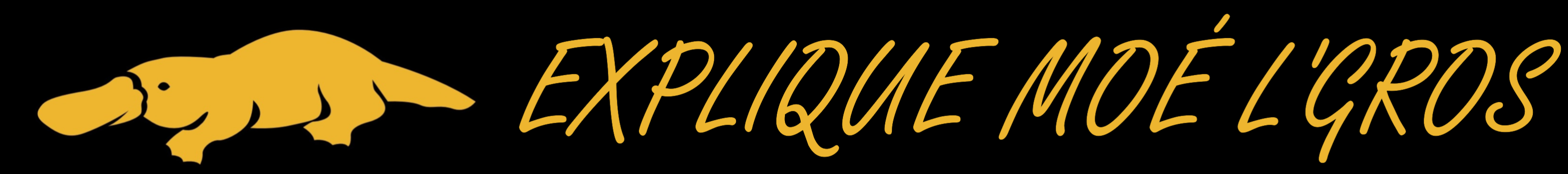 EXPLIQUE MOÉ L'GROS